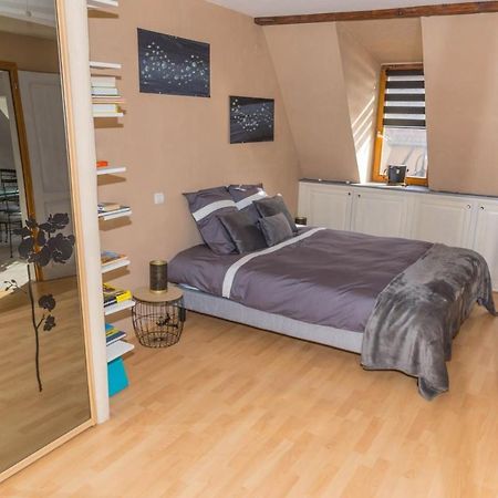Charmant Appartement Alsacien Ribeauville  Luaran gambar