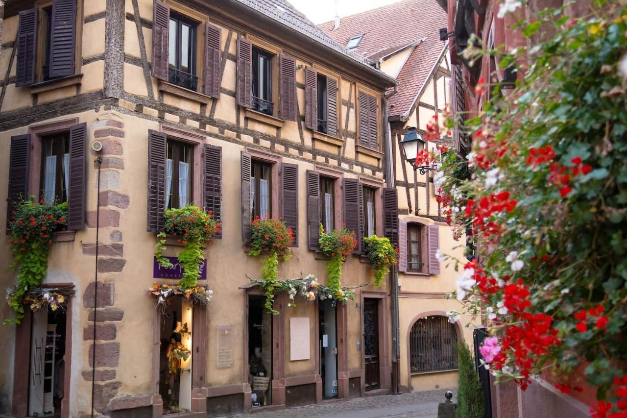 Charmant Appartement Alsacien Ribeauville  Luaran gambar