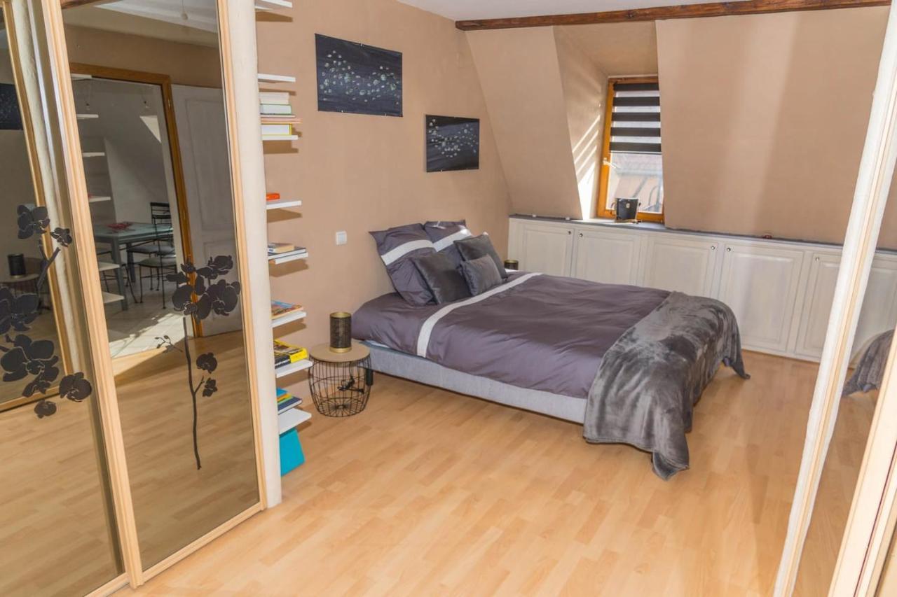 Charmant Appartement Alsacien Ribeauville  Luaran gambar