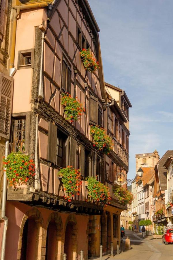 Charmant Appartement Alsacien Ribeauville  Luaran gambar